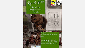 Bild Eichhörnchen Präparat in Glasvitrine mit Text auf grünen Textboxen. 